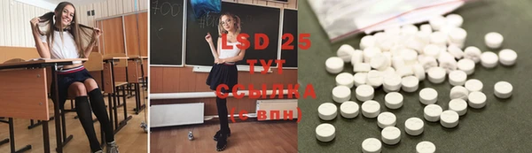 гашик Михайловск
