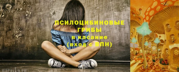СК Мегион