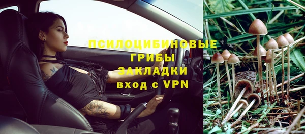 гашик Михайловск