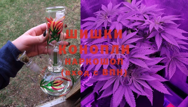 винт Кострома